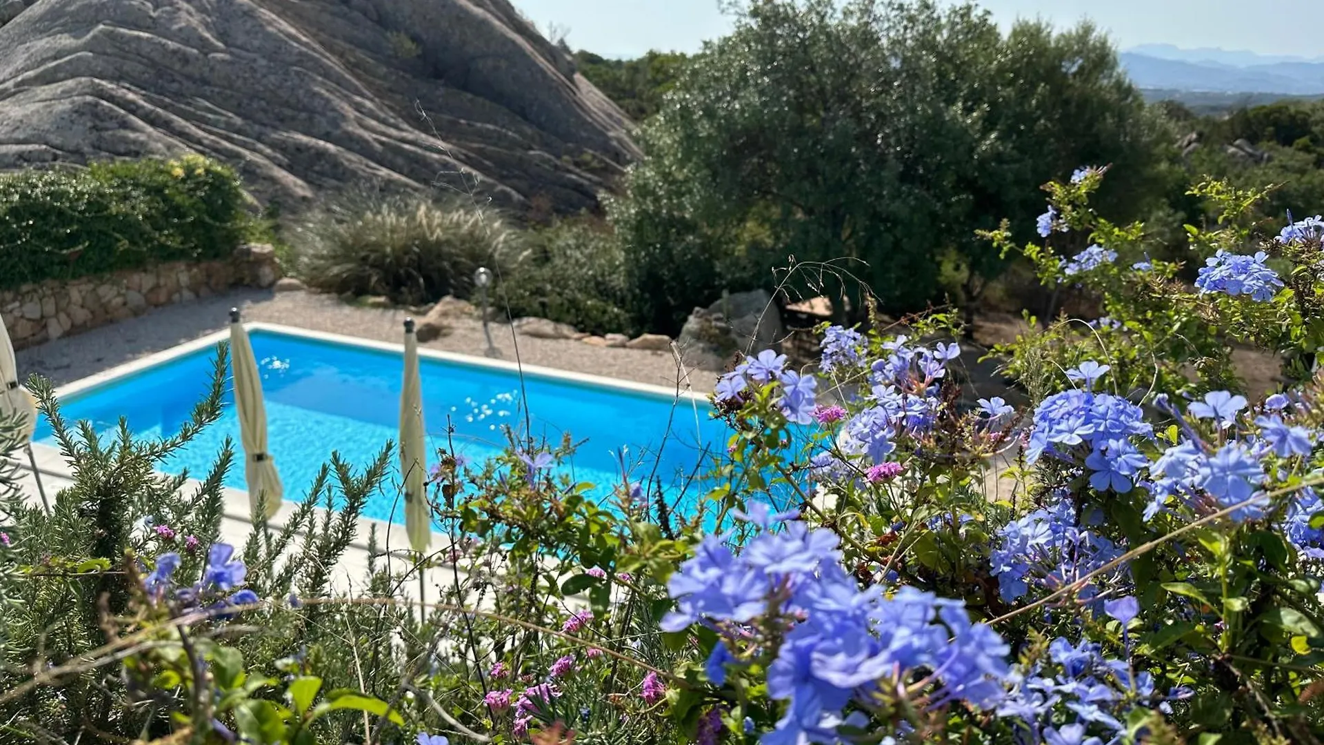 Art Villa location